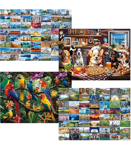 Amazon.com: RoseArt - Kodak Premium - 4-in-1 Multipack - 1000